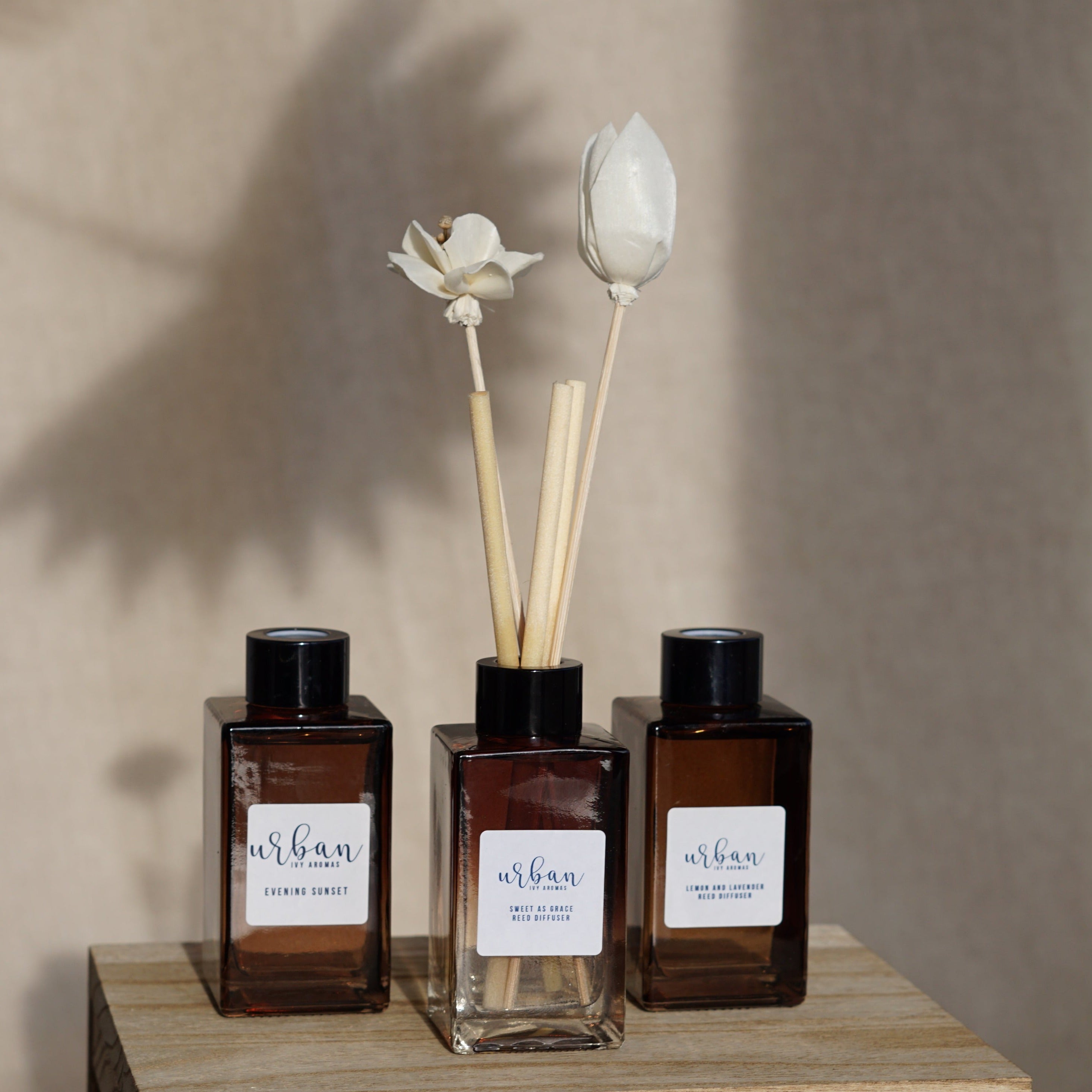 Reed Diffusers – Urban Ivy Aromas